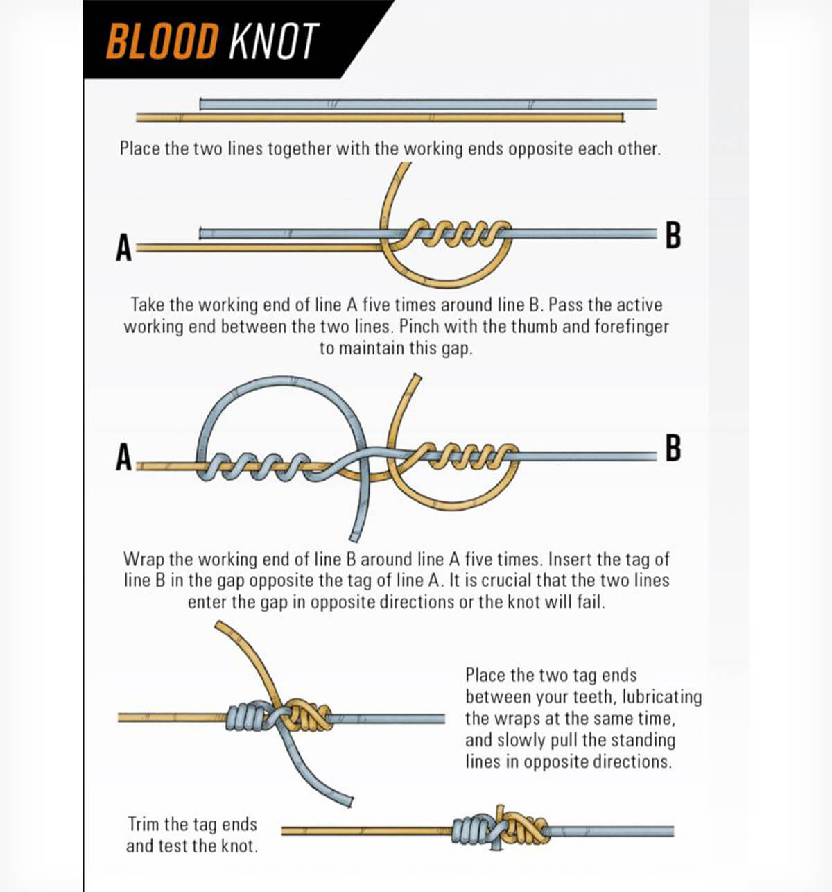8 Best Fly Fishing Knots You Should Know How to Tie - Fly Fisherman ...
